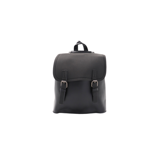 Blackcherry Small Flap Two Tone Buckle Backpack